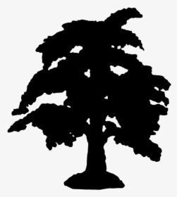 Silhouette Graphics Big Tree - Tree, HD Png Download, Transparent PNG