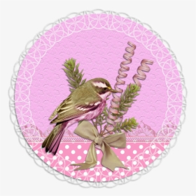 Tag, Label, Pink, Green, Flower, Lace, Bird - Labels Princes Pink Oval Png, Transparent Png, Transparent PNG