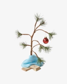 Charlie Brown Christmas Tree Png - Transparent Charlie Brown Tree Png, Png Download, Transparent PNG