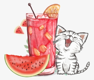 Cute Cat Cartoon Drawing, HD Png Download, Transparent PNG