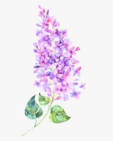 Lilac Watercolour Tattoo, HD Png Download, Transparent PNG
