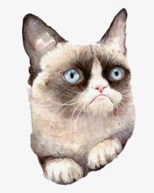 Grumpy Cat Png Clipart - Grumpy Cat Watercolor, Transparent Png, Transparent PNG