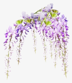 Tube Fleur - Page - Transparent Background Flowering Vines Png, Png Download, Transparent PNG