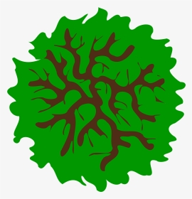 Tree Clip Art Microsoft - Clip Art, HD Png Download, Transparent PNG
