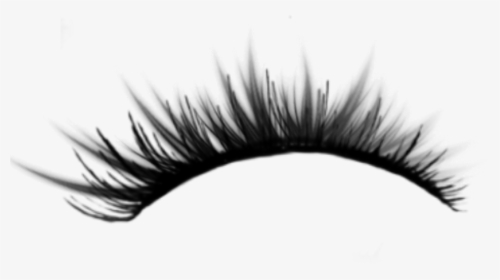 #patty 💖  #ciliosdeboneca #ciliosgrande #eyelashes - Eyelash Extensions, HD Png Download, Transparent PNG
