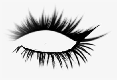 #eyelashes #righteye - Eyelash Brushes, HD Png Download, Transparent PNG