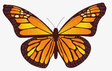 Clipart Monarch Butterfly, HD Png Download, Transparent PNG