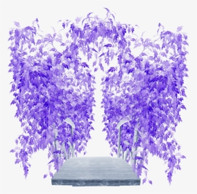 ♥ Poeme ♥ De Victor Hugo ♥ - Wisteria, HD Png Download, Transparent PNG