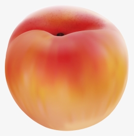 Peach Png Clip Art Image - Nectarines, Transparent Png, Transparent PNG