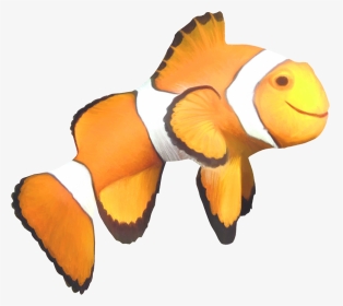Clown Fish Png - Clip Art, Transparent Png, Transparent PNG