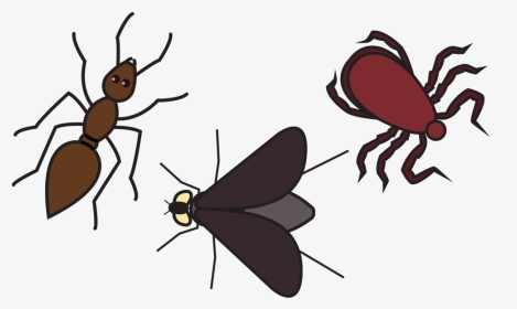 Bad Bugs 2, HD Png Download, Transparent PNG