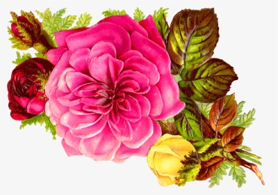 Flower Bouqet Clipart Jpg Transparent Habrumalas - Pink And Red Roses Art, HD Png Download, Transparent PNG