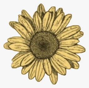 #freetoedit #doodle #sunflower #sun #sunshine #flowers - Blue Sunflower Sticker, HD Png Download, Transparent PNG