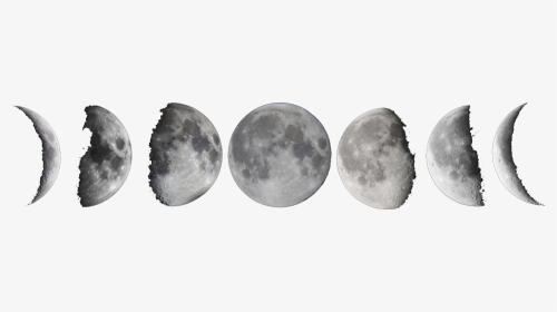 Lunar Phase New Moon Full Moon - Moon Phases Transparent Background, HD Png Download, Transparent PNG