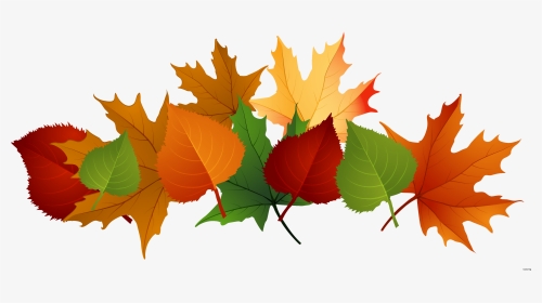 Free Leaf Free On Dumielauxepices - Fall Leaves Transparent Background, HD Png Download, Transparent PNG