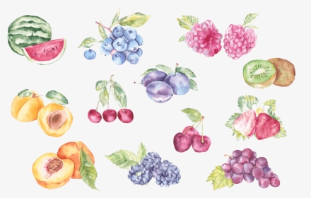 2 - 5d小清新建筑房子插画 - Fruit In Watercolor, HD Png Download, Transparent PNG