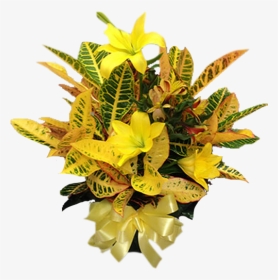 Bouquet, HD Png Download, Transparent PNG