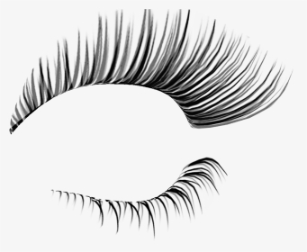 #eyelashes - Eyelashes Transparent Background, HD Png Download, Transparent PNG