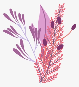 矢量卡通艺术植物装饰插画 - Grevillea, HD Png Download, Transparent PNG