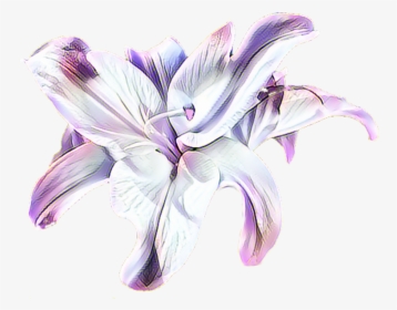 Transparent Background Lavender Clipart Lavender Flowers, HD Png Download, Transparent PNG