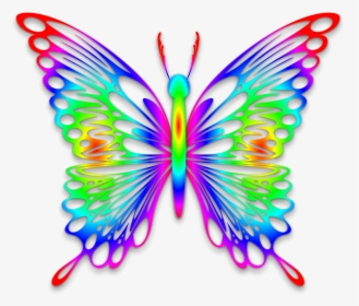 Rainbow Butterfly By Gautamdas1992 On Deviantart - Rainbow Butterfly Transparent Background, HD Png Download, Transparent PNG