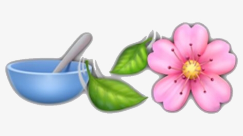 #emoji #emojis #nature #iphone #background #trendy - Rosa Rubiginosa, HD Png Download, Transparent PNG