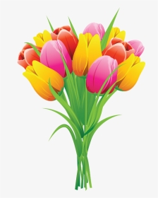 Png Clip Art - Tulips Clipart, Transparent Png, Transparent PNG
