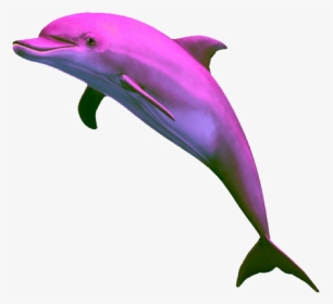 #vaporwave #dolphin #purple - Aesthetic Dolphin Png, Transparent Png, Transparent PNG