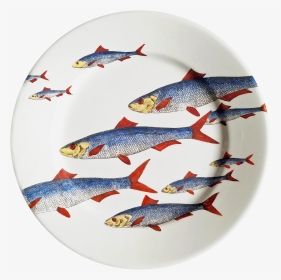 Fornasetti Fish, HD Png Download, Transparent PNG