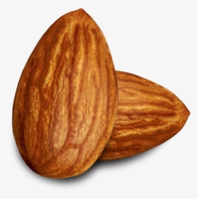 Almond Png Pic Background - Almond Clipart, Transparent Png, Transparent PNG