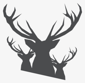 Elks Of Canada Logo, HD Png Download, Transparent PNG