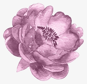 #flowers #flower #watercolor #stock #freetoedit - Watercolor Painting, HD Png Download, Transparent PNG