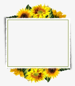 Sunflower Frame Transparent Background, HD Png Download, Transparent PNG