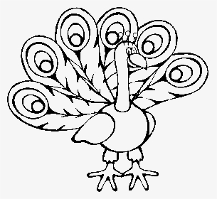 Simple Peacock Coloring Pages, HD Png Download, Transparent PNG
