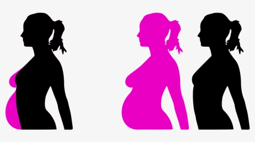 Vector Free Stock Free Clipart Pregnant Woman Silhouette - Pregnant Clip Art, HD Png Download, Transparent PNG