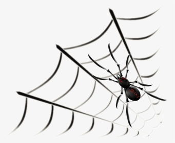 Sin Spider Space Web Graphic And Picture - Transparent Animated Spider Gif, HD Png Download, Transparent PNG