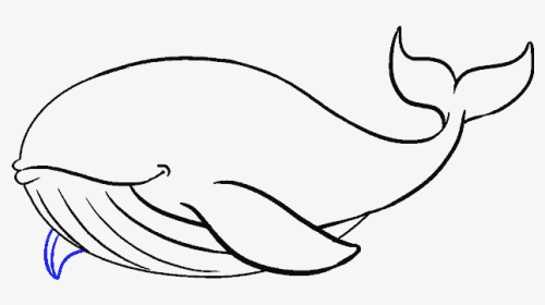 How To Draw Whale - Easy Way To Draw A Humpback Whale, HD Png Download, Transparent PNG