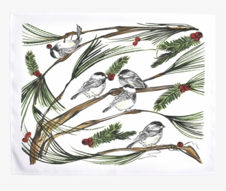 Chickadee, HD Png Download, Transparent PNG