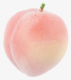 #peach #aesthetic #pink #pastel - Peach, HD Png Download, Transparent PNG