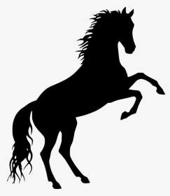 Free To Use Horse Silhouette, HD Png Download, Transparent PNG