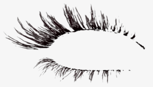 #lashes - Eyelash Extensions, HD Png Download, Transparent PNG