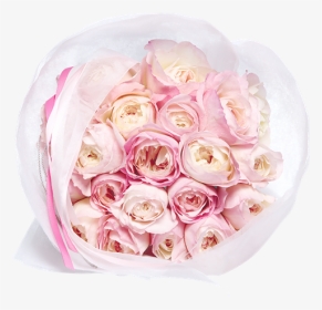 Picture Of Je T Adore - Garden Roses, HD Png Download, Transparent PNG