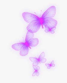 #neon #purple #lila #butterfly #schmetterling - Pieridae, HD Png Download, Transparent PNG