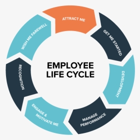 Employee Life Cycle Uk, HD Png Download, Transparent PNG