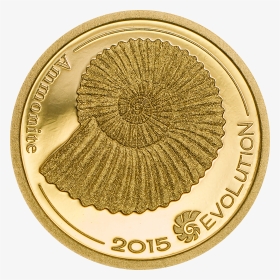 Evolution Of Life 2015 Gold Ammonite, HD Png Download, Transparent PNG