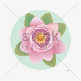Lotus Flower Illustration Png - Zinnia, Transparent Png, Transparent PNG