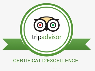 Trip Advisor - Transparent Background Tripadvisor Logo, HD Png Download, Transparent PNG