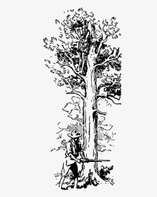 Transparent Big Tree Png - Pohon Gambar Ilustrasi Tumbuhan, Png Download, Transparent PNG