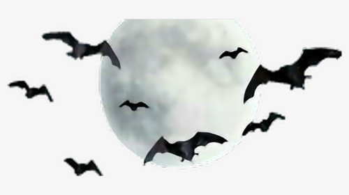 #moon #bats #freetoedit - Moon With Bats Png, Transparent Png, Transparent PNG