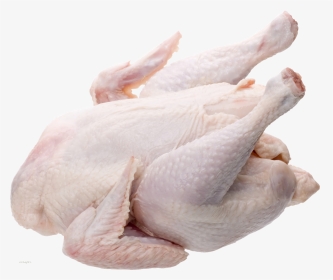 Whole Chicken - Broiler Chicken, HD Png Download, Transparent PNG